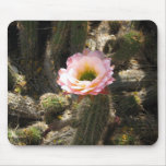 Pink Cactus Flower Mouse Mat