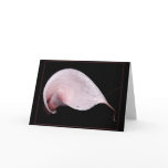 PINK CALLA NOTECARD/BLANK