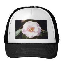 Pink Camelia Japonica 'Fleur De Pecher' (Japanese Mesh Hat