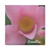 Pink Camellia Magnet