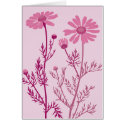 pink camomile cards