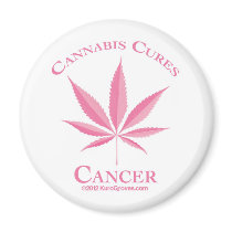 Pink Cannabis Cures Cancer  Magnet