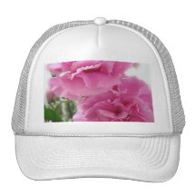 Pink Carnations 1 Hat