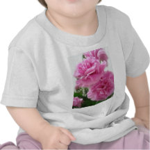 Pink Carnations 1 T-shirts