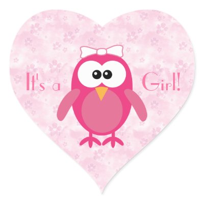 Cartoon Owl Pink