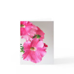 Pink Cascading Petunias Note Card
