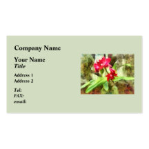 Pink Cattleya Orchids Business Card Template