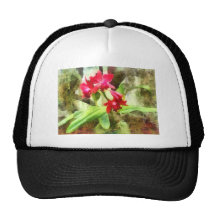 Pink Cattleya Orchids Mesh Hats