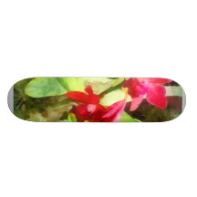 Pink Cattleya Orchids Skate Deck
