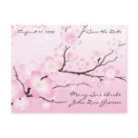Pink Cherry Blossom Save the Date Postcards