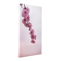 Pink Cherry Blossom Stretched Canvas Prints