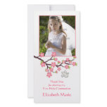 Pink Cherry Blossoms, Dove, Religious Photo Card