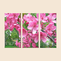 Pink Cherry Blossoms Trio Canvas Print canvas prints