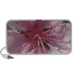 Pink Cherry Tree Portable Speakers