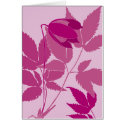 pink clematis cards