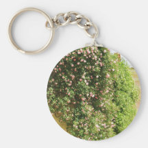 PINK Climbing ROSES Key Chains