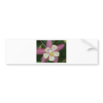 pink columbine bumper stickers