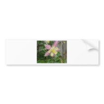 pink columbine bumper stickers