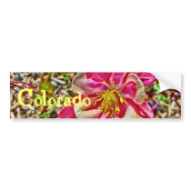 Pink columbine Colorado bumpersticker Bumper Stickers