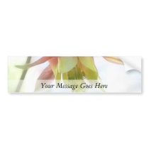 Pink Columbine Flower Bumper Sticker