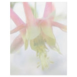 Pink Columbine Flower Personalized Letterhead