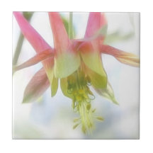 Pink Columbine Flower Tiles