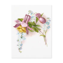 Pink Columbine Flower Victorian Trade Card Postcard
