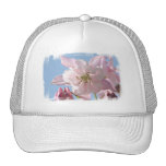 Pink Columbine Flowers Baseball Hat
