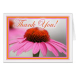 Pink Cone Flower Greeting Card