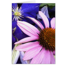 Pink Cone Flower & Purple Clematis Greeting Card