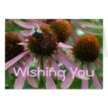 Pink Coneflower Bee Greeting Card