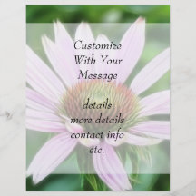 Pink Coneflower - Echinacea Purpurea Flyers