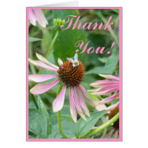 Pink Coneflower Garden Cards