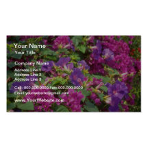 Pink Convolvas and bougainvillea, Spaincon flowers Business Card