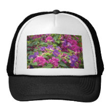 Pink Convolvas and bougainvillea, Spaincon flowers Mesh Hat