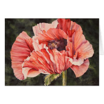 Pink Corn Poppy All Occasion Notecard