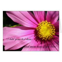 Pink Cosmos Flower Card