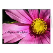 Pink Cosmos Flower Happy Birthday Cards