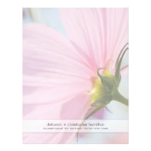 Pink Cosmos • Letterhead
