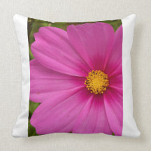 Pink Cosmos Pillows