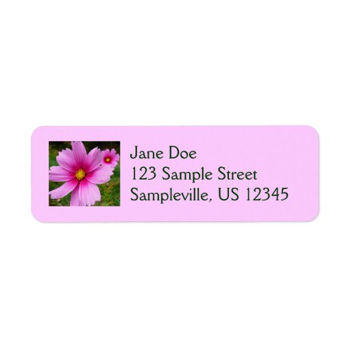 Pink Cosmos Return Address Label