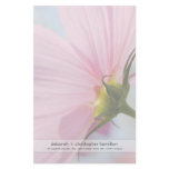 Pink Cosmos • Stationery
