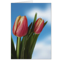 Pink & Cream Tulips / Blue Sky - Personalizable Cards
