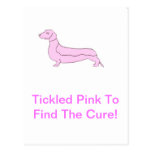 Pink Dachshund Postcards