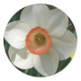 Pink Daffodil Sticker
