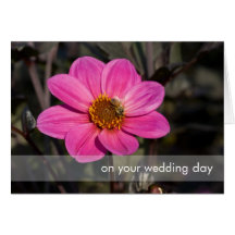 Pink Dahlia & Bee Greeting Cards