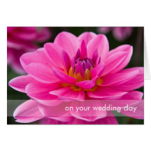 Pink Dahlia DSC4612 Card
