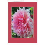 Pink Dahlia - Happy Mother's Day Cards