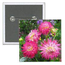 Pink Dahlias Button