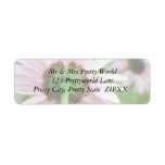 Pink Daisies - Front and Back Return Address Labels